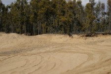 Sand Pit Foresta