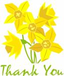 Thank You Daffodils