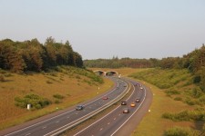 Wildlife Passage Over Highway