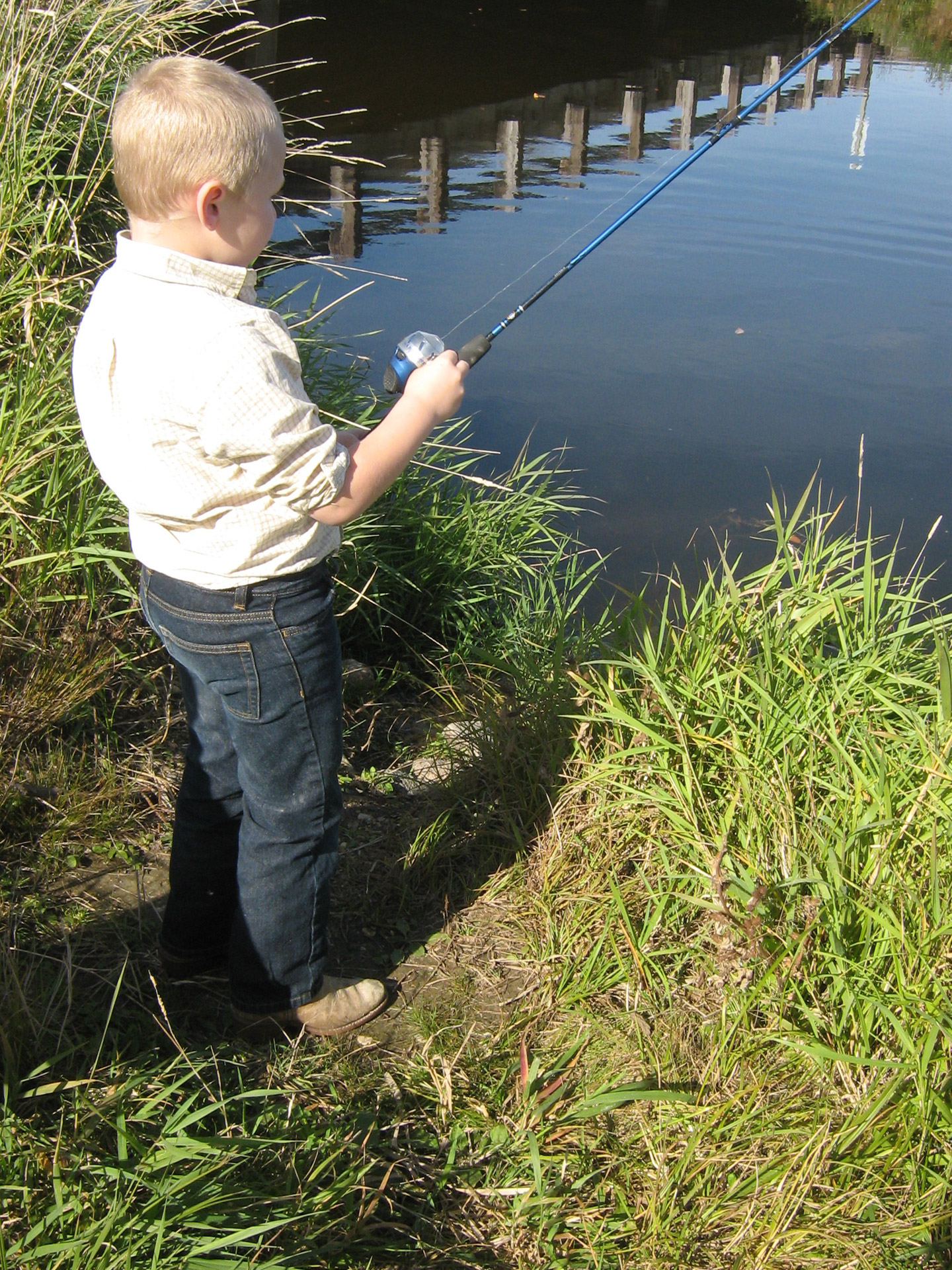 Boy Fishing Free Stock Photo - Public Domain Pictures
