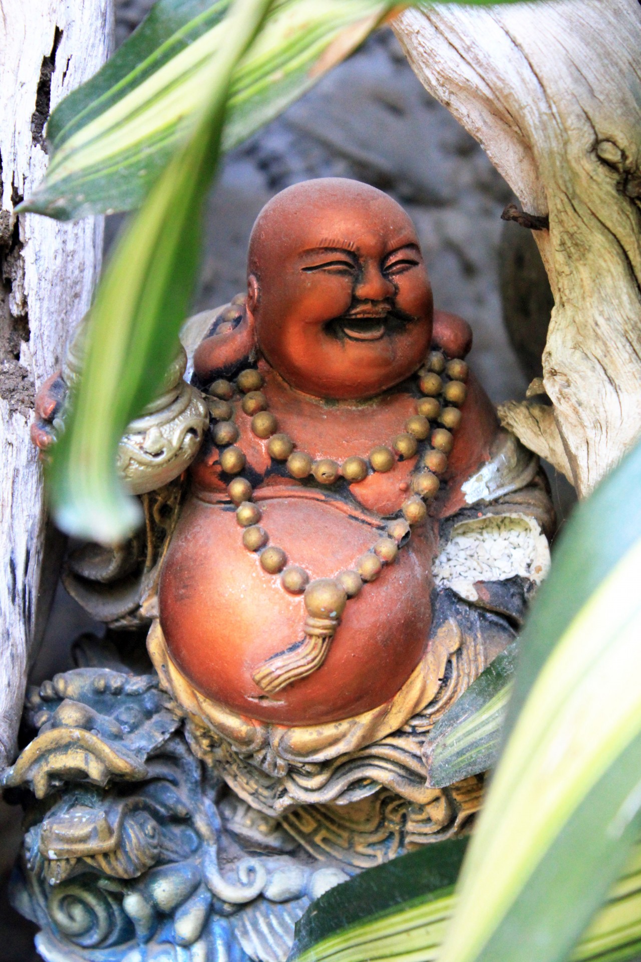 Buddha  Free  Stock Photo Public Domain Pictures