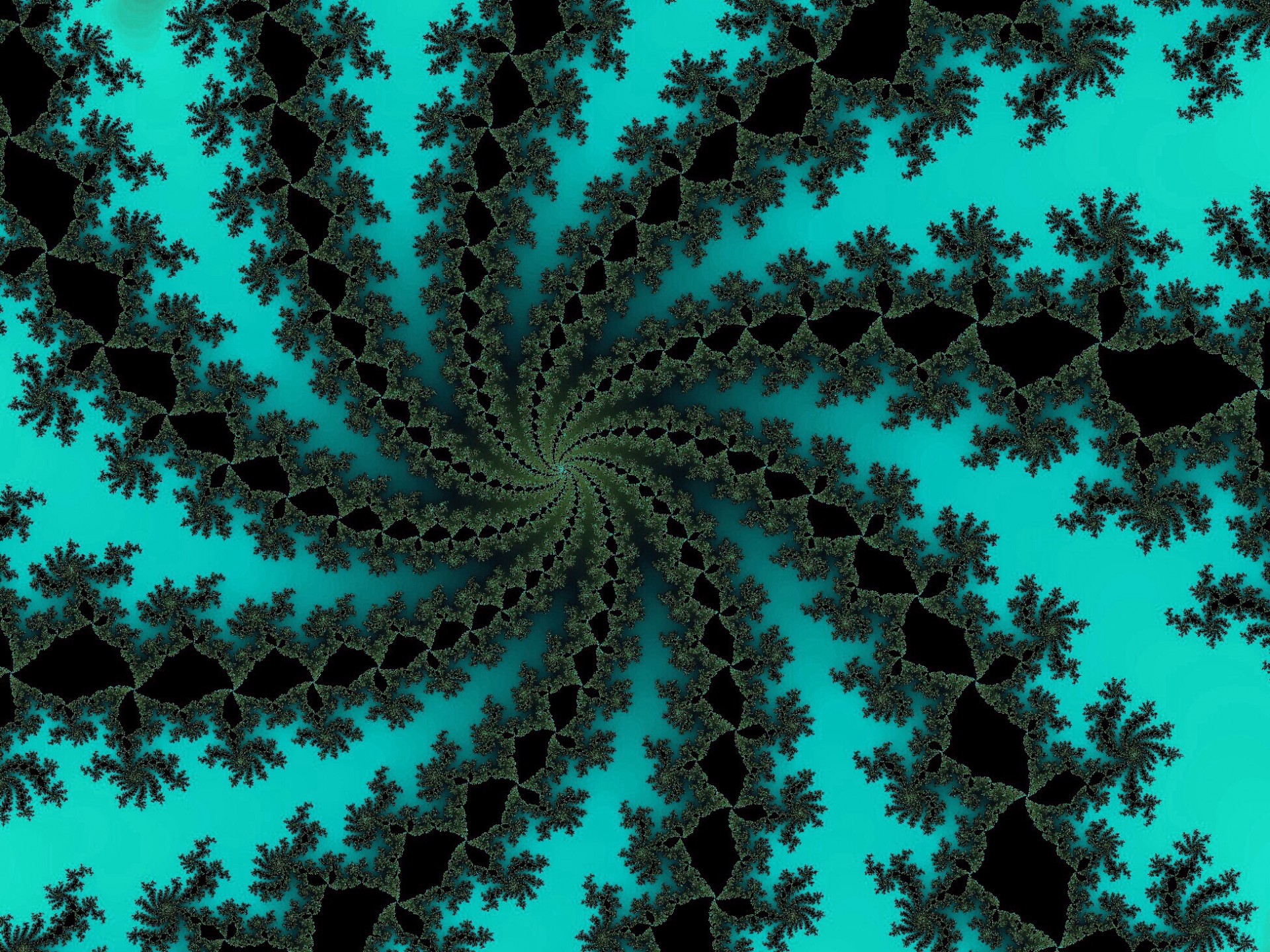 Patterned Fractal Spirals Free Stock Photo Public Domain Pictures