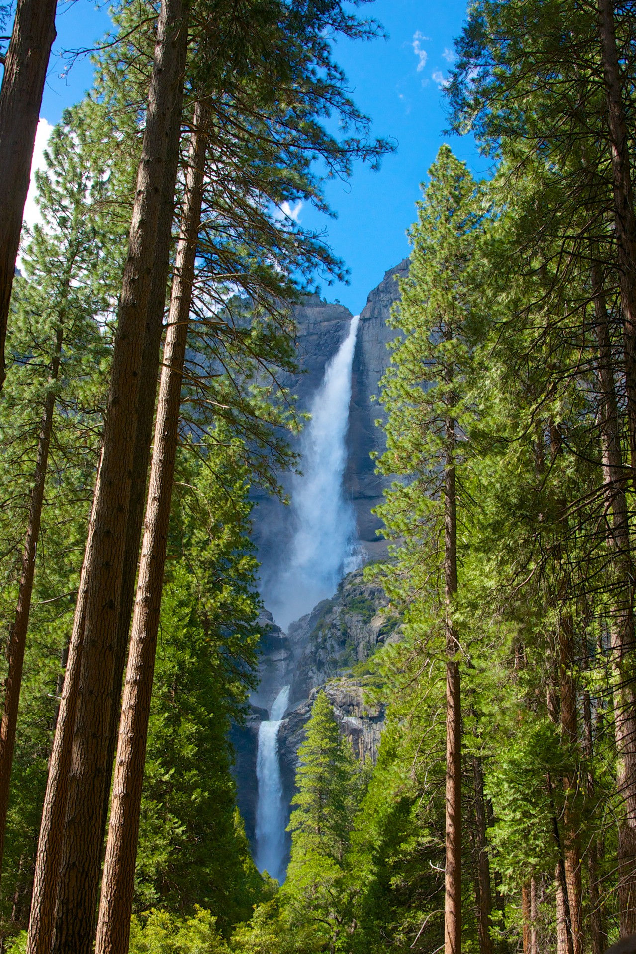 Cascate a Woods di Yosemite