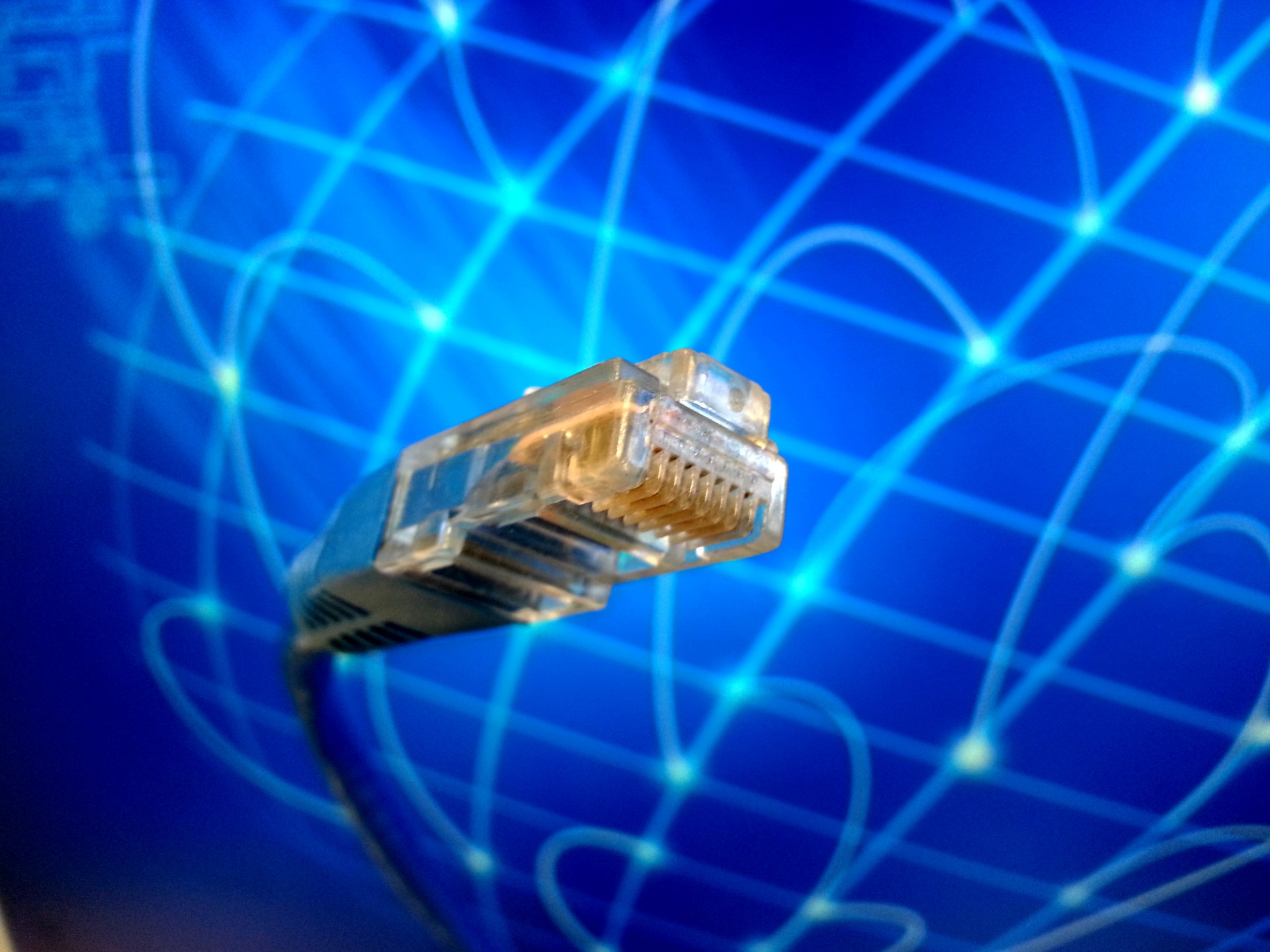 Wired Network Free Stock Photo - Public Domain Pictures