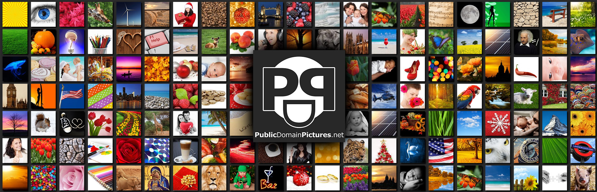 Public Domain Pictures Collage
